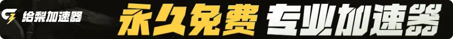 给梨加速器